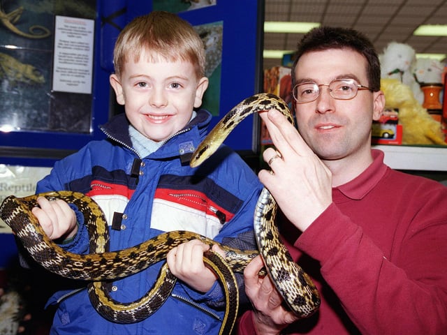 Davy Frost, aged five, of Arksey, checks out a Boa Constrictor, with the help of John Conlan, of the Proteus reptile rescue and sanctuary, at the  Pets at home snake event in Doncaster