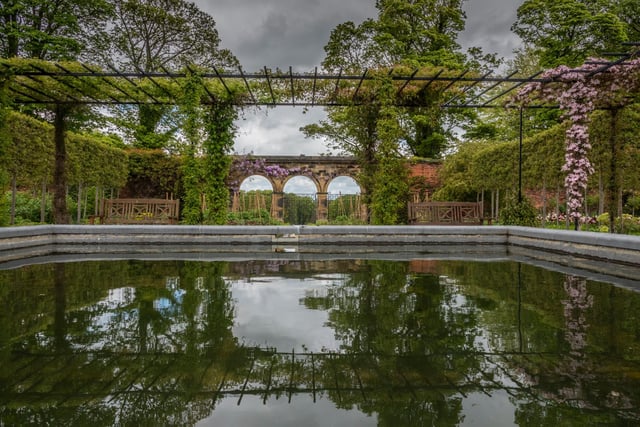 Reflections in a pond at The Alnwick Garden, May 2020. Picture by Jane Coltman