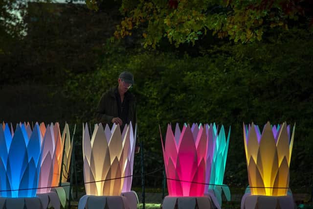 Illuminate the Gardens at Sheffield Botanical Gardens. Picture Scott Merrylees