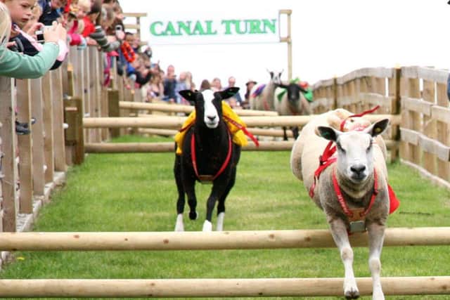 Cannon Hall Farm at Barnsley has plenty of summer holiday events.