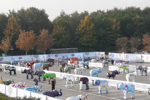 The Herd of Sheffield's big send-off at Meadowhall