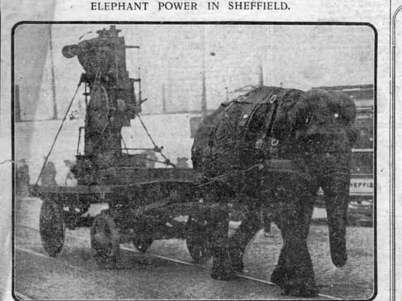 Lizzie on her rounds, seen in this 1916 cutting from the Sheffield Daily Independent newspaper