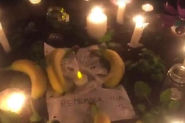 The shrine to Harambe at the event