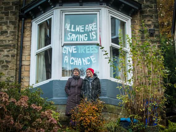 Jenny Hockey and Freda Brayshaw who were arrested by police after protesting against a controversial tree felling programme