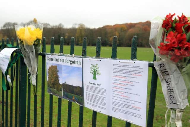Floral tributes have sprung up in memory of eight trees. Photo: Chris Etchells.