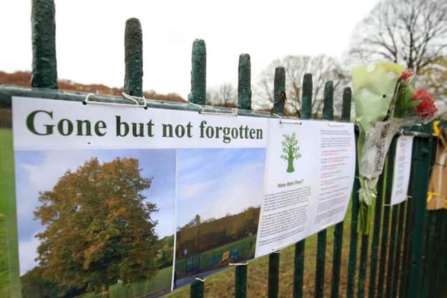 Floral tributes have sprung up in memory of eight trees. Photo: Chris Etchells.