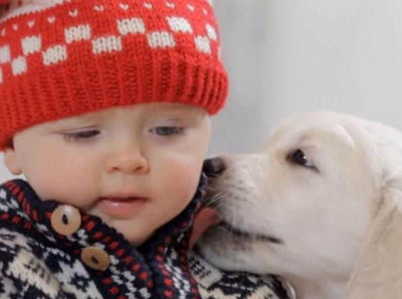 Cute doesn't come close!
