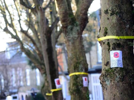 Protesters have attached yellow ribbons to trees along Western Road