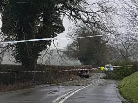 A tree landed on a car in Derbyshire.