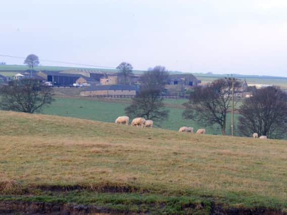 Prospect Farm in High Bradfield