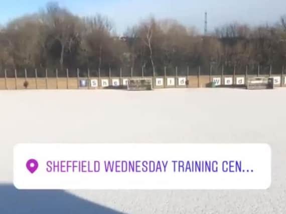 Sheffield Wednesday - Credit: Lucas Joao Instagram