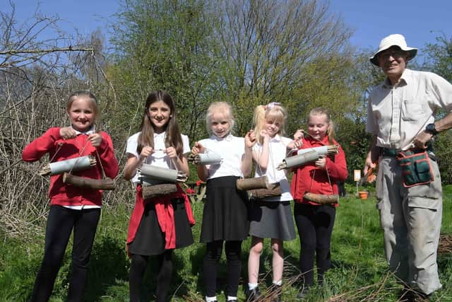 Pupils with bug hotels which they could take home