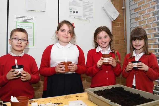 Reignhead Primary School pupils sowed sunflower seeds in plastic pots