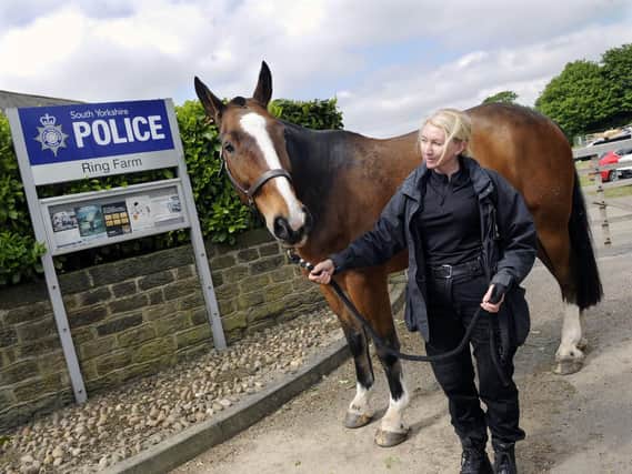 South Yorkshire's police mounted section have moved back to there previous home at Ring Farm,in Cudworth,Barnsley. Pictured is Sgt Katherine Wallis with her police horse Hoober