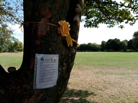 Tie a yellow ribbon: A symbolic gesture and protest note at Penny Pie Park, Barnsley, which is under threat from a road scheme