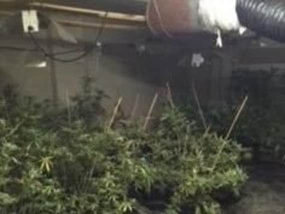 This cannabis set up was found at a property in Dinnington, Rotherham