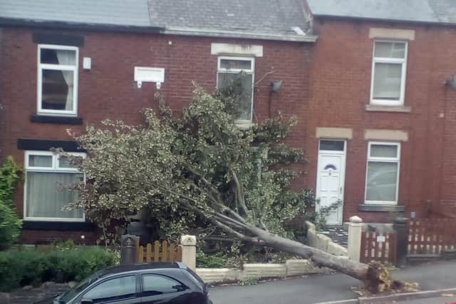 The tree came down on Myrtle Road in Sheffield during Storm Ali