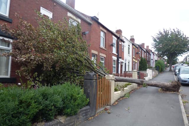 Damage caused by Storm Ali