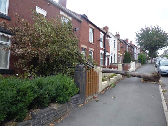 Damage caused by Storm Ali