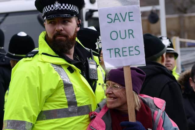Tree protester and police