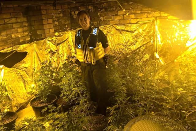 Police shut down a cannabis farm in Shiregreen. Picture: Sheffield North East NHP.