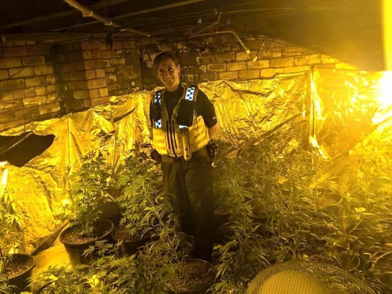 Police shut down a cannabis farm in Shiregreen. Picture: Sheffield North East NHP.