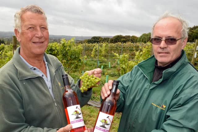 Volunteers Simon Baddeley and Derek Henry, pictured in the vineyard with bottles of wine from a previous crop