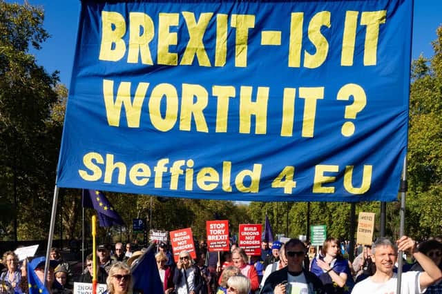 South Yorkshire campaigners took part in the Brexit march in London (photo by Jacob Millen-Bamford)