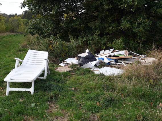 Fly-tipping on the Owlthorpe Heritage and Nature Trail. Picture: Peter Wolstenholme.