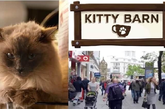 Kitty Barn will be opening next year in Sheffield