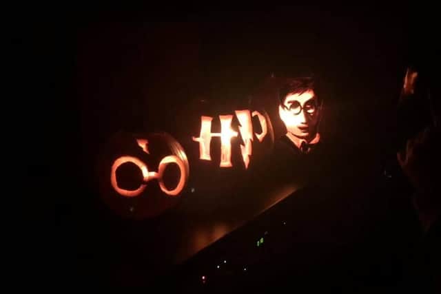 Harry Potter arrives for Halloween thanks to Stacy Kearsley Paul and Amelia