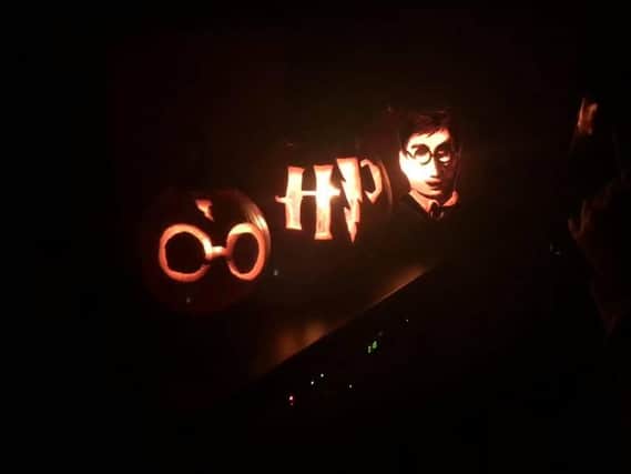 Harry Potter arrives for Halloween thanks to Stacy Kearsley Paul and Amelia