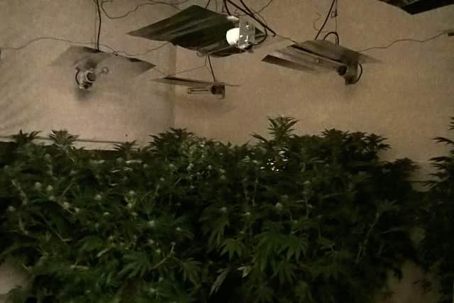 Cannabis was found on every floor of the property. Picture: Sheffield West NHP