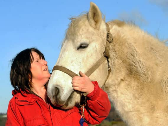 Mary Hepworth with Fergus the pony at Alberts Horse and Pony Sanctuary