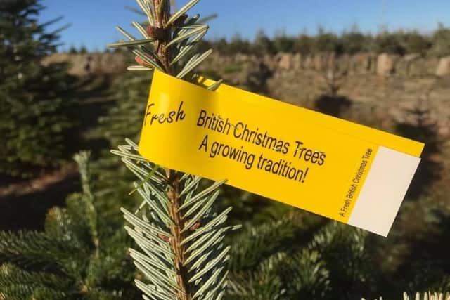 Tag your Christmas tree
