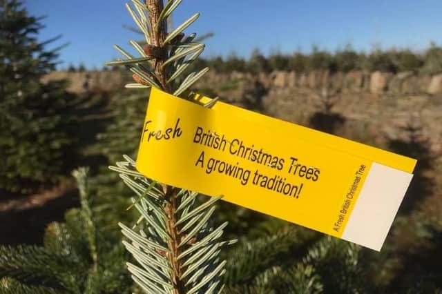 Sheffield Christmas Tree Company - tag your tree!