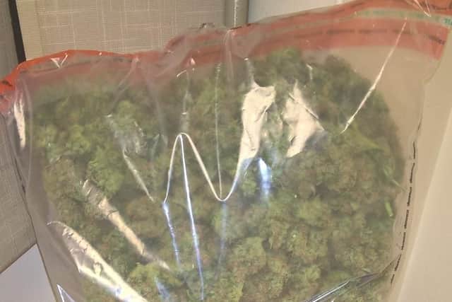 Cannabis seized in a police raid at Fox Hill last night