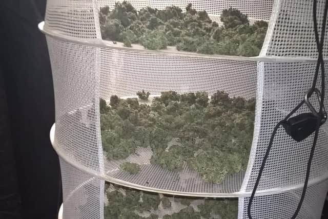 Cannabis worth 10,000 was found in a house in Fox Hill last night