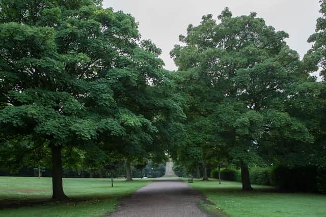 The Cholera Monument Grounds are among the areas Sheffield Council says could benefit from its new Trees and Woodlands Strategy (pic: Nick Sievewright)