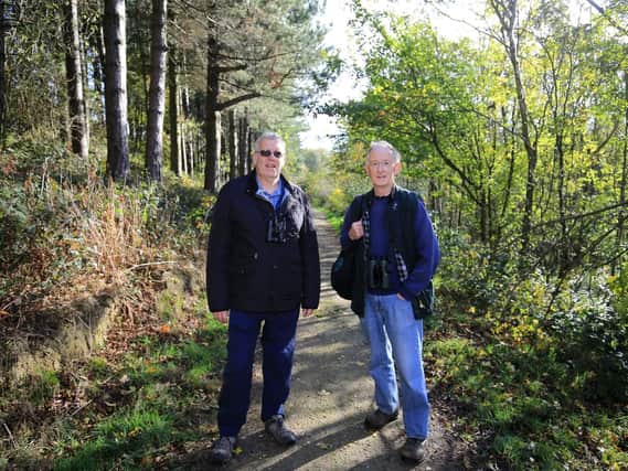 Mick Warwick and Chris Measures pictured at Gillfield Wood in Totley.