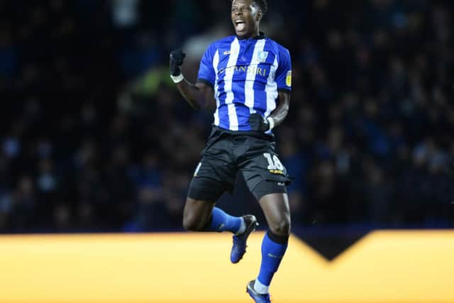 GOAL.....Two goal Lucas Joao after his second goal......Pic Steve Ellis