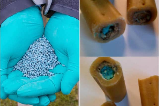 Blue pellets found inside dog chews