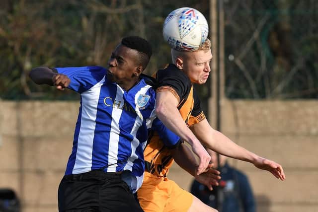 Omar Damba is on trial at Sheffield Wednesday