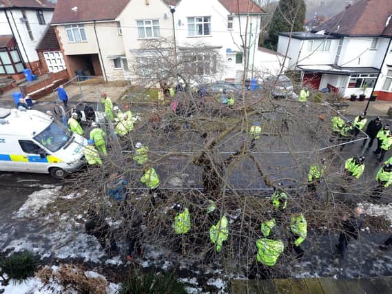 Tree campaigners have won an 'out of court' settlement against South Yorkshire police