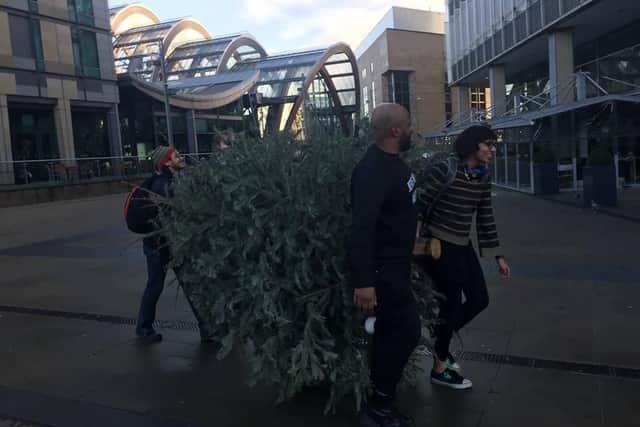 Pulling the tree through the city centre.