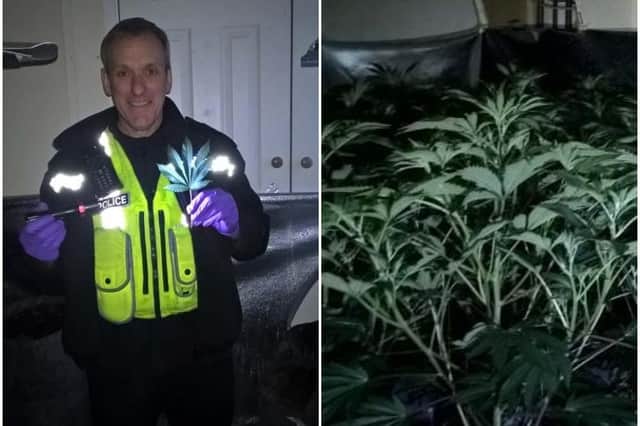 An officer from the Rotherham South Neighbourhood Policing Team with the cannabis farm found by officers in Laughton