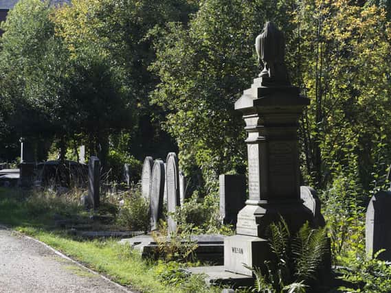 Sheffield General Cemetery. Picture: Dean Atkins