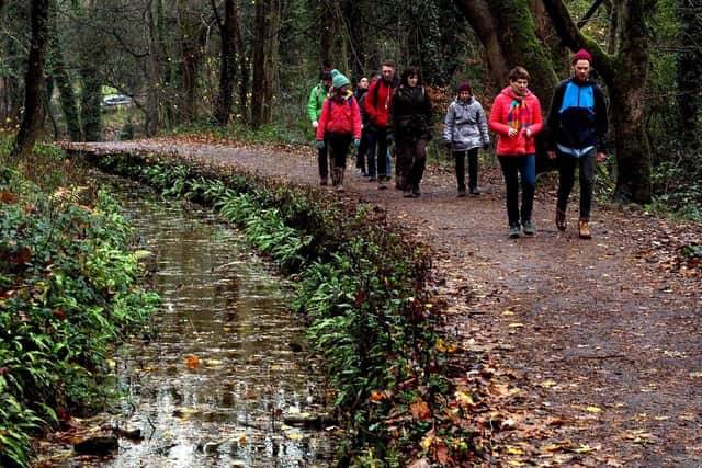 Netwalking in the Porter Valley: