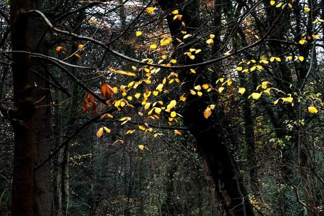 Netwalking in the Porter Valley: