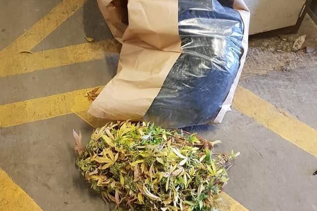 Police said a large quantity of cannabis had been found dumped in a park in Greasbrough, Rotherham